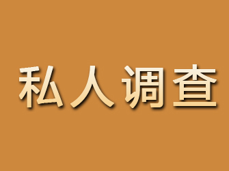 安岳私人调查